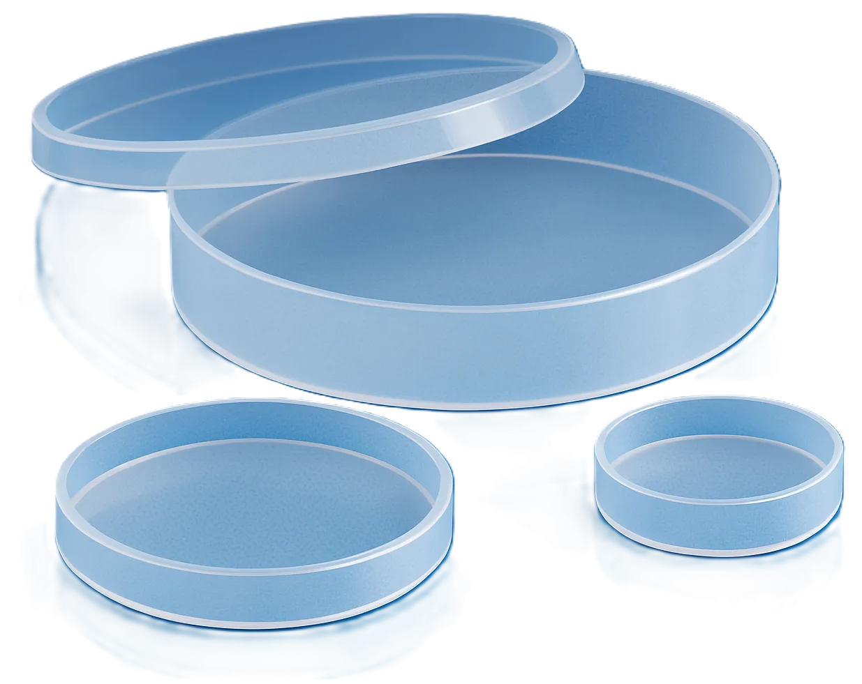 Petri Dish (Autoclavable)